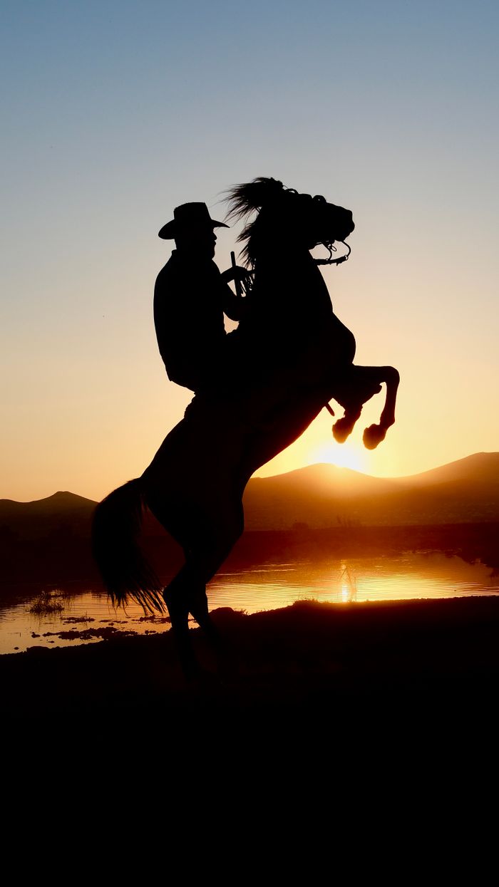 A cowboy riding a rearing horse silhouetted against a dramatic sunset near the water.