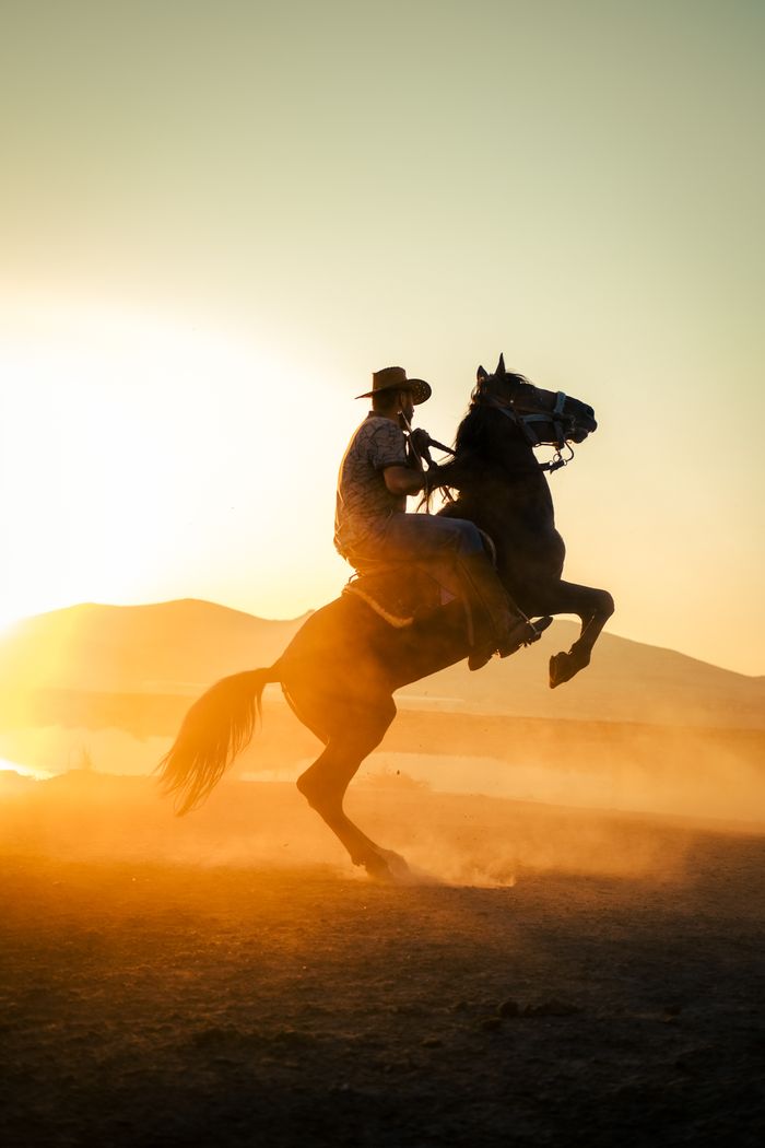 Dynamic silhouette of cowboy on a rearing horse during a stunning sunset, exuding energy.